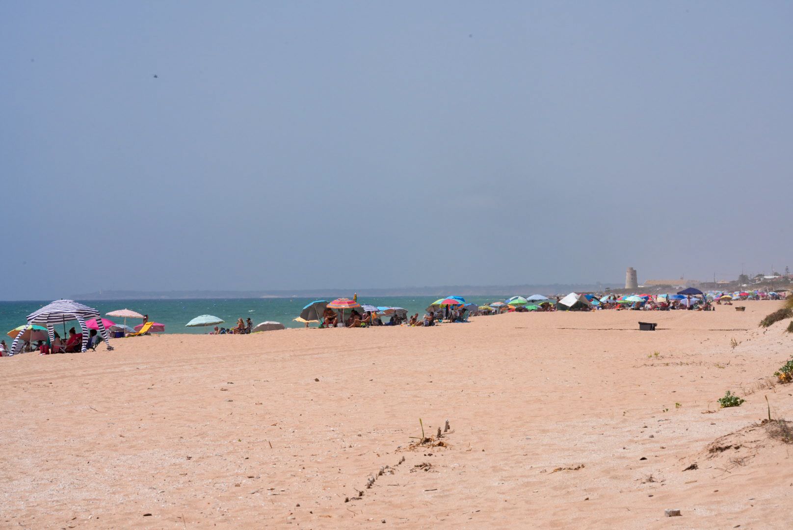 El Palmar viene sufriendo cortes de luz durante todo el verano. El Palmar viene sufriendo cortes de luz durante todo el verano.