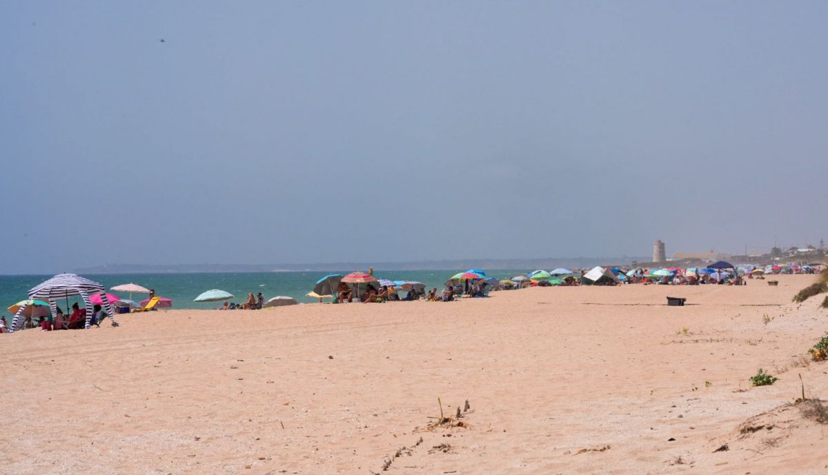 El Palmar viene sufriendo cortes de luz durante todo el verano.