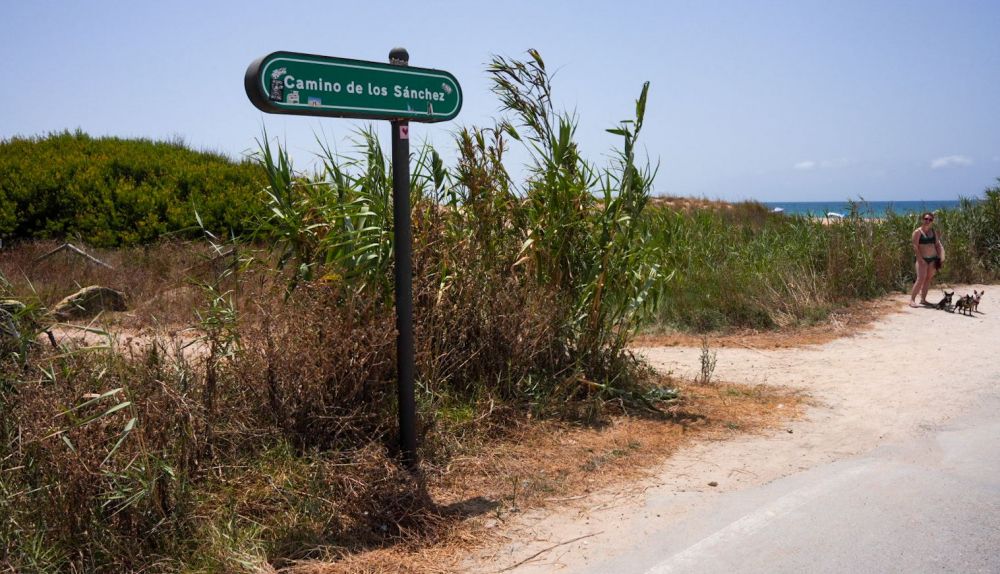 El palmar cortes de luz