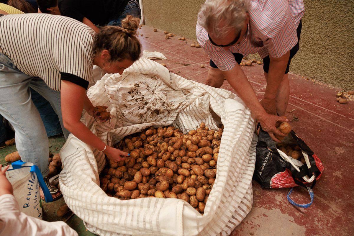 Agricultor Solidario: Dona 26.000 Kilos de Papas