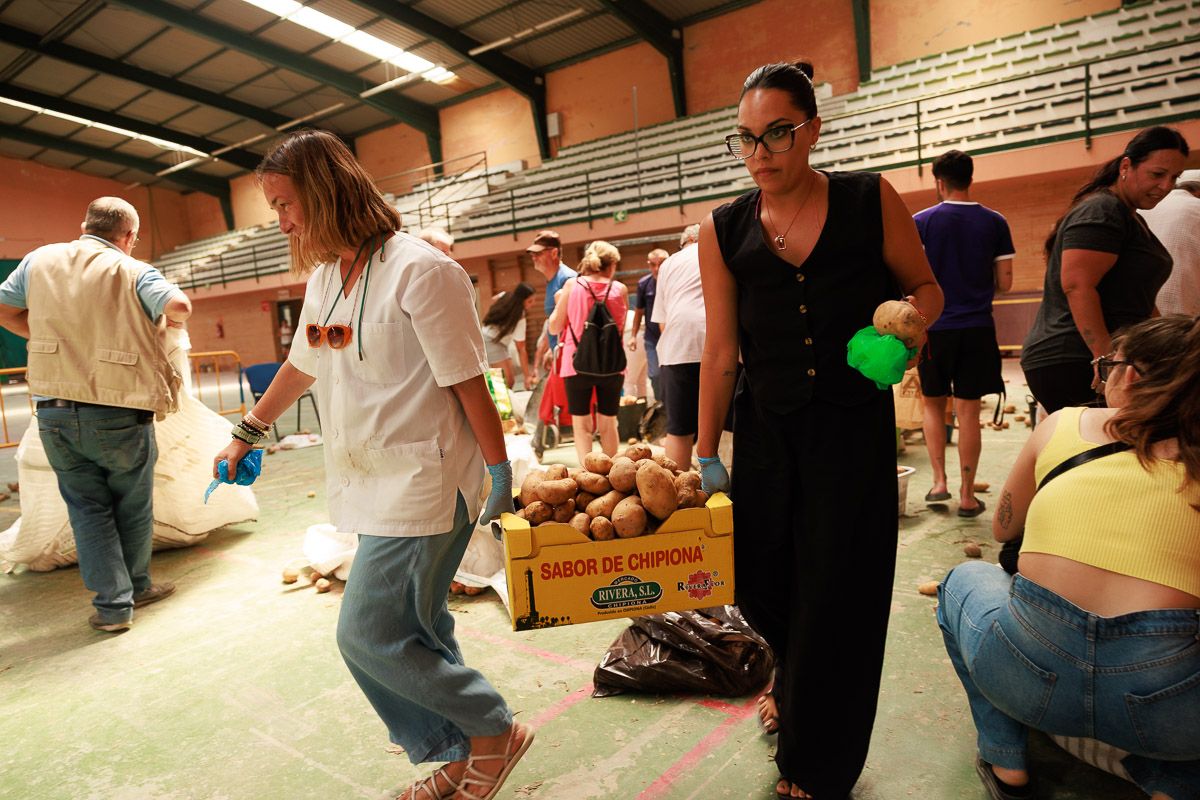 Agricultor Solidario: Dona 26.000 Kilos de Papas