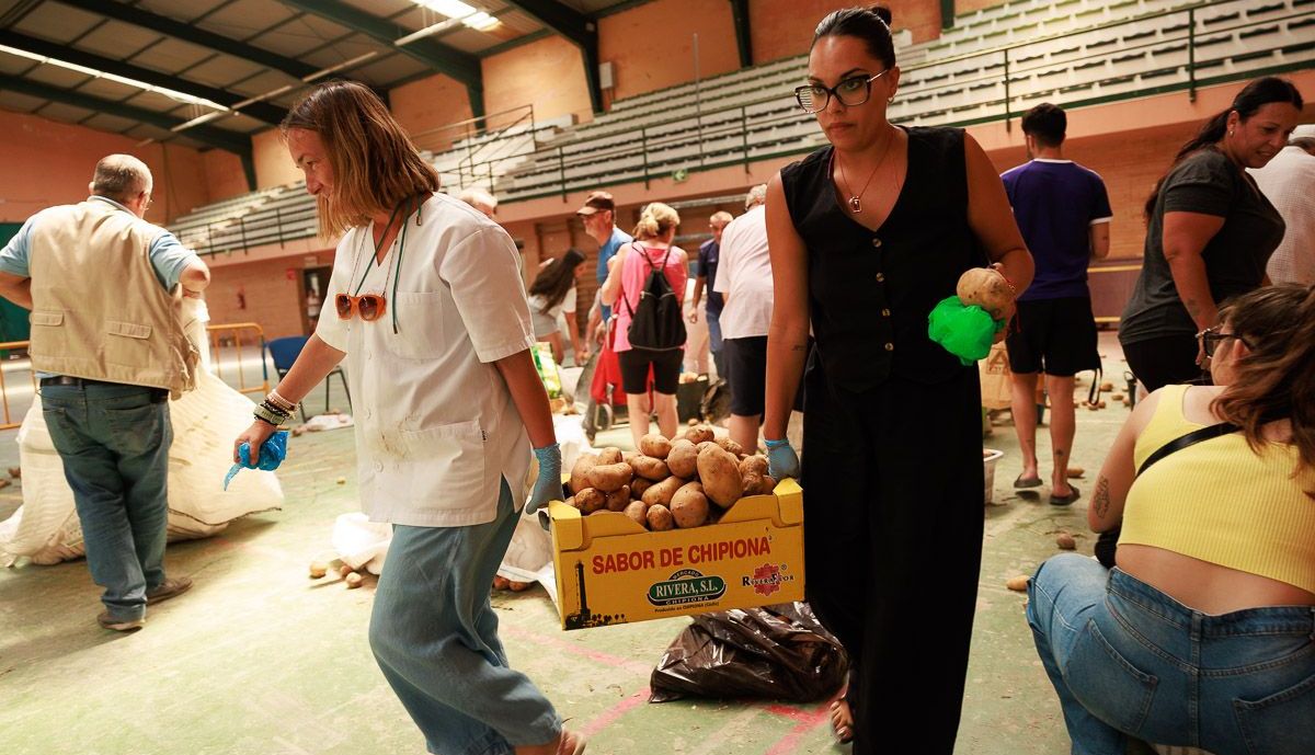 Agricultor Solidario: Dona 26.000 Kilos de Papas