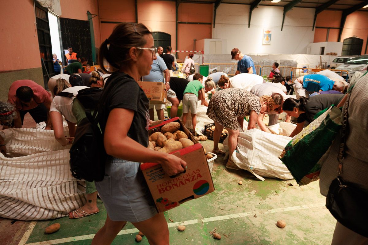 Agricultor Solidario: Dona 26.000 Kilos de Papas