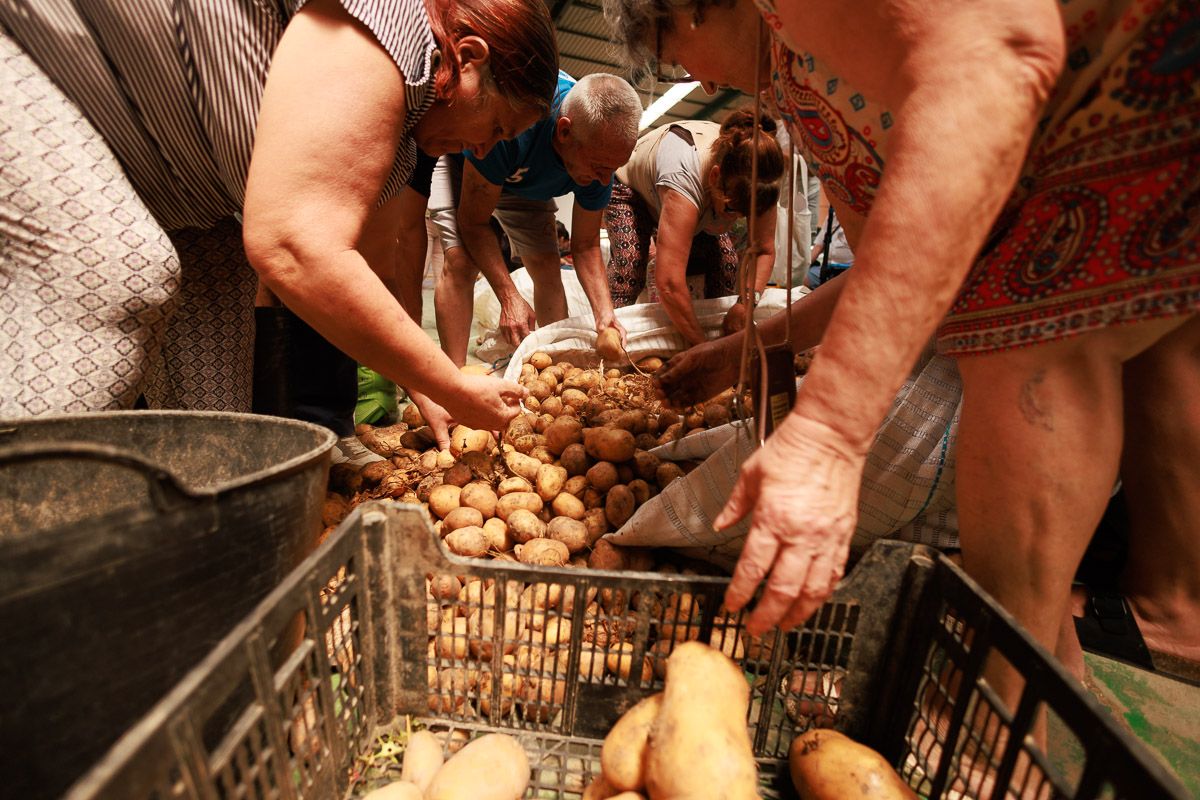 Agricultor Solidario: Dona 26.000 Kilos de Papas