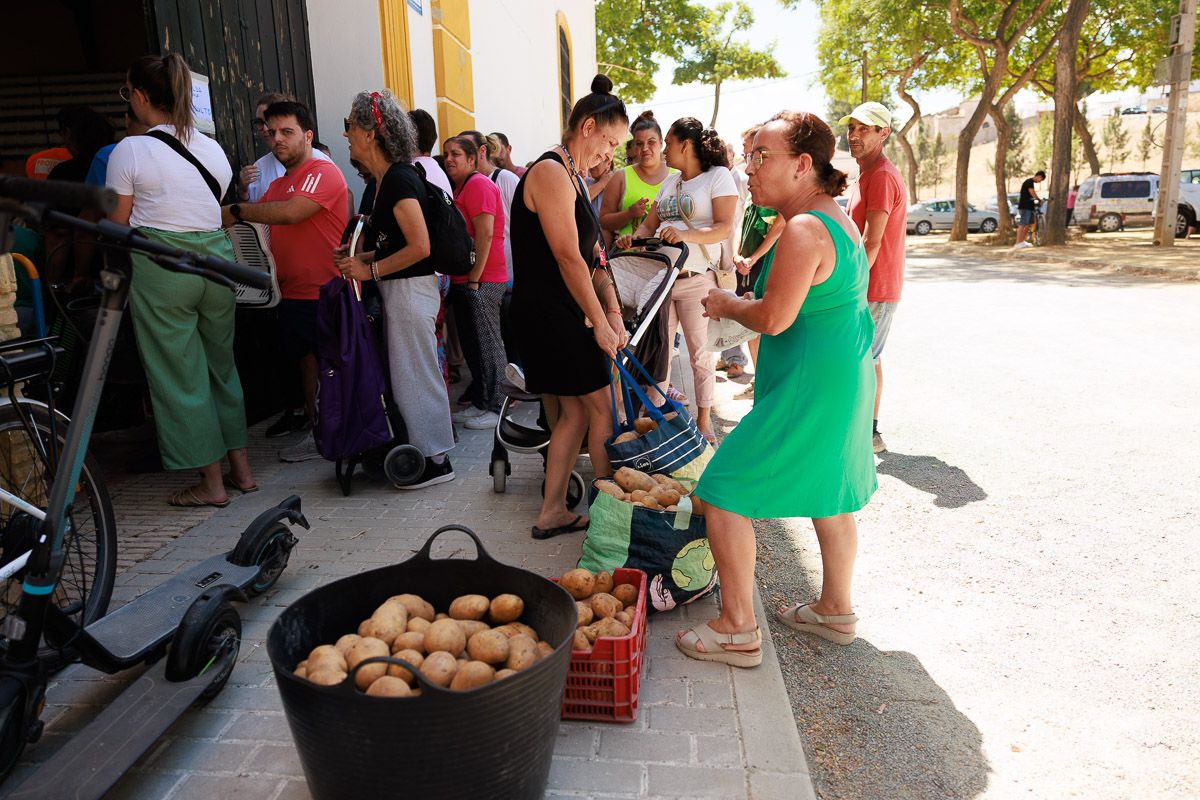 Agricultor Solidario: Dona 26.000 Kilos de Papas