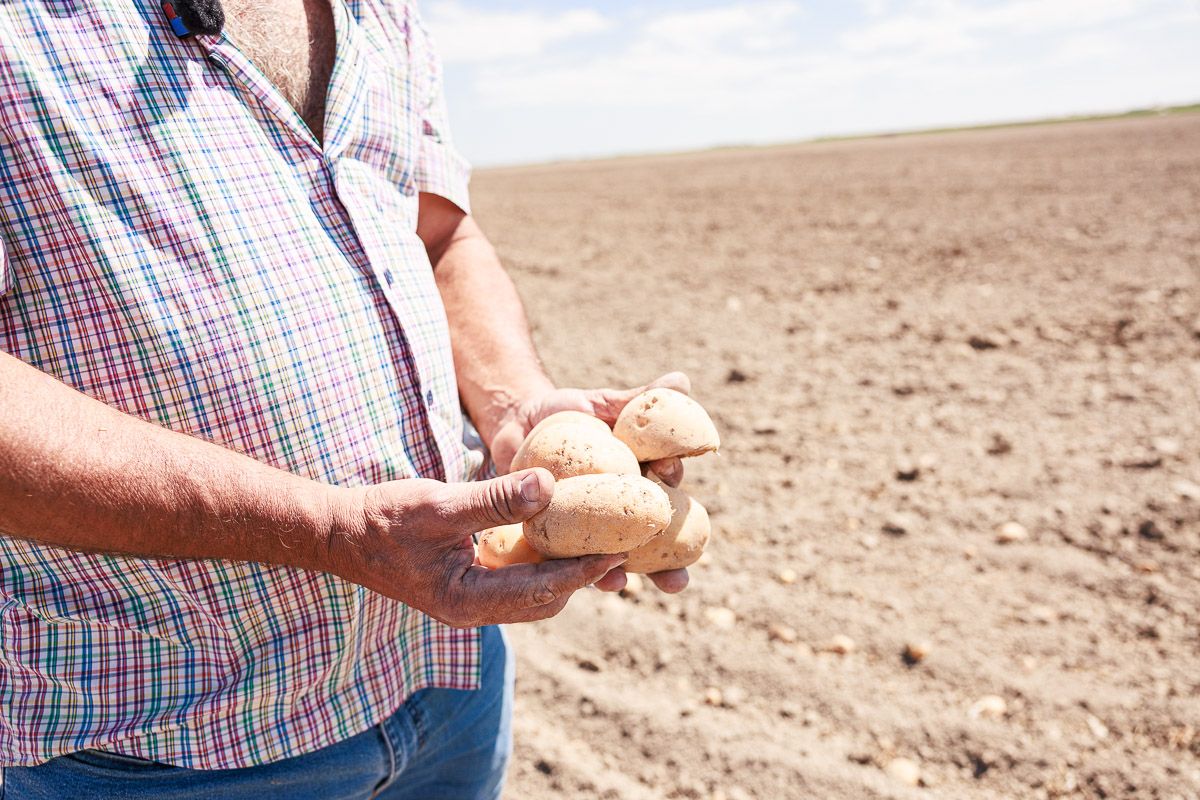Agricultor Solidario: Dona 26.000 Kilos de Papas