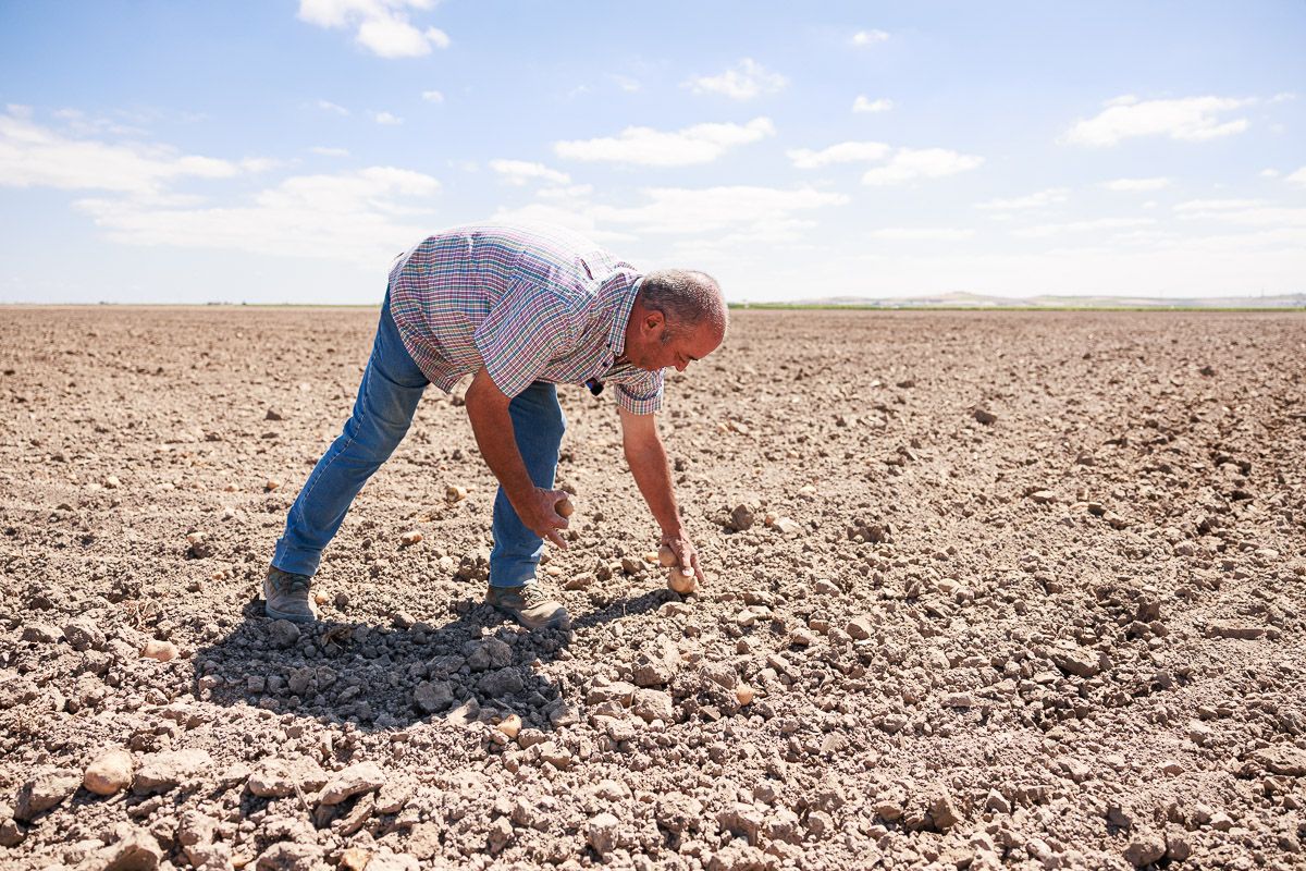 Agricultor Solidario: Dona 26.000 Kilos de Papas