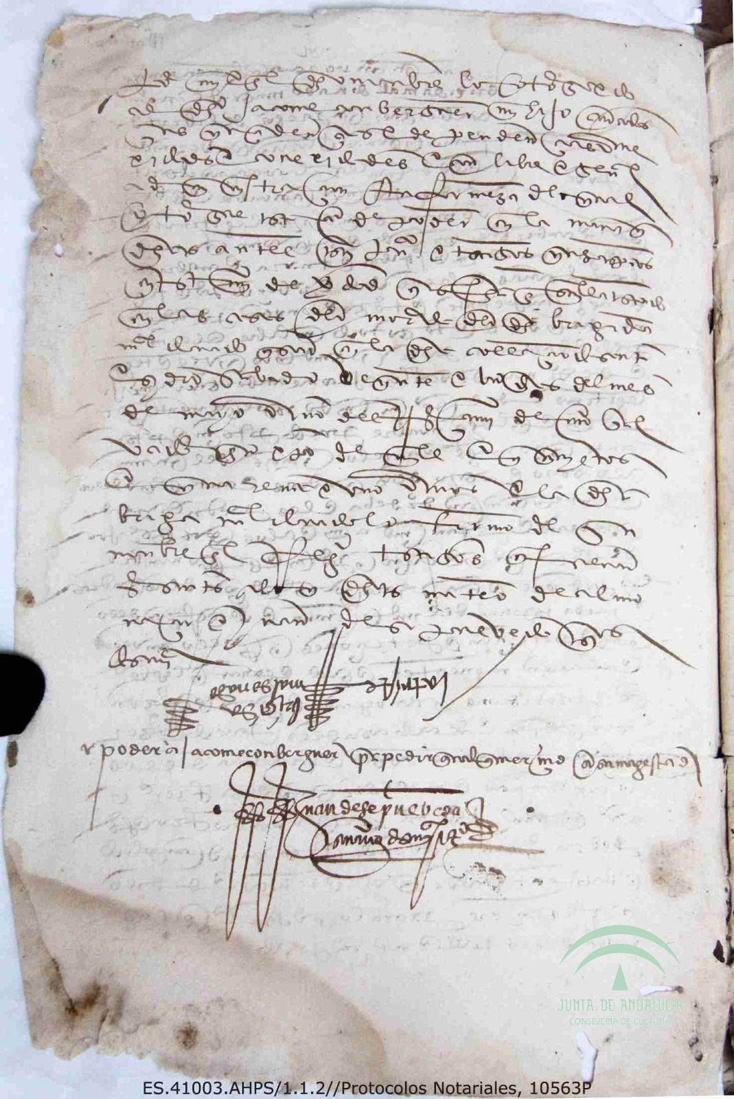 Uno de los documentos expuestos. 