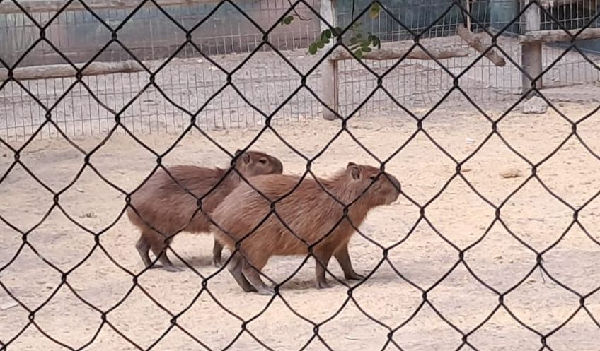 WhatsApp Image 2025 07 12 at 12.20.11