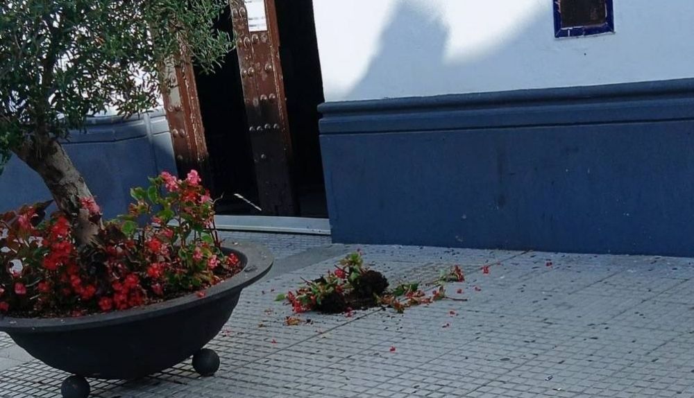 514352531 1305151894954179 7464821310186727833 n