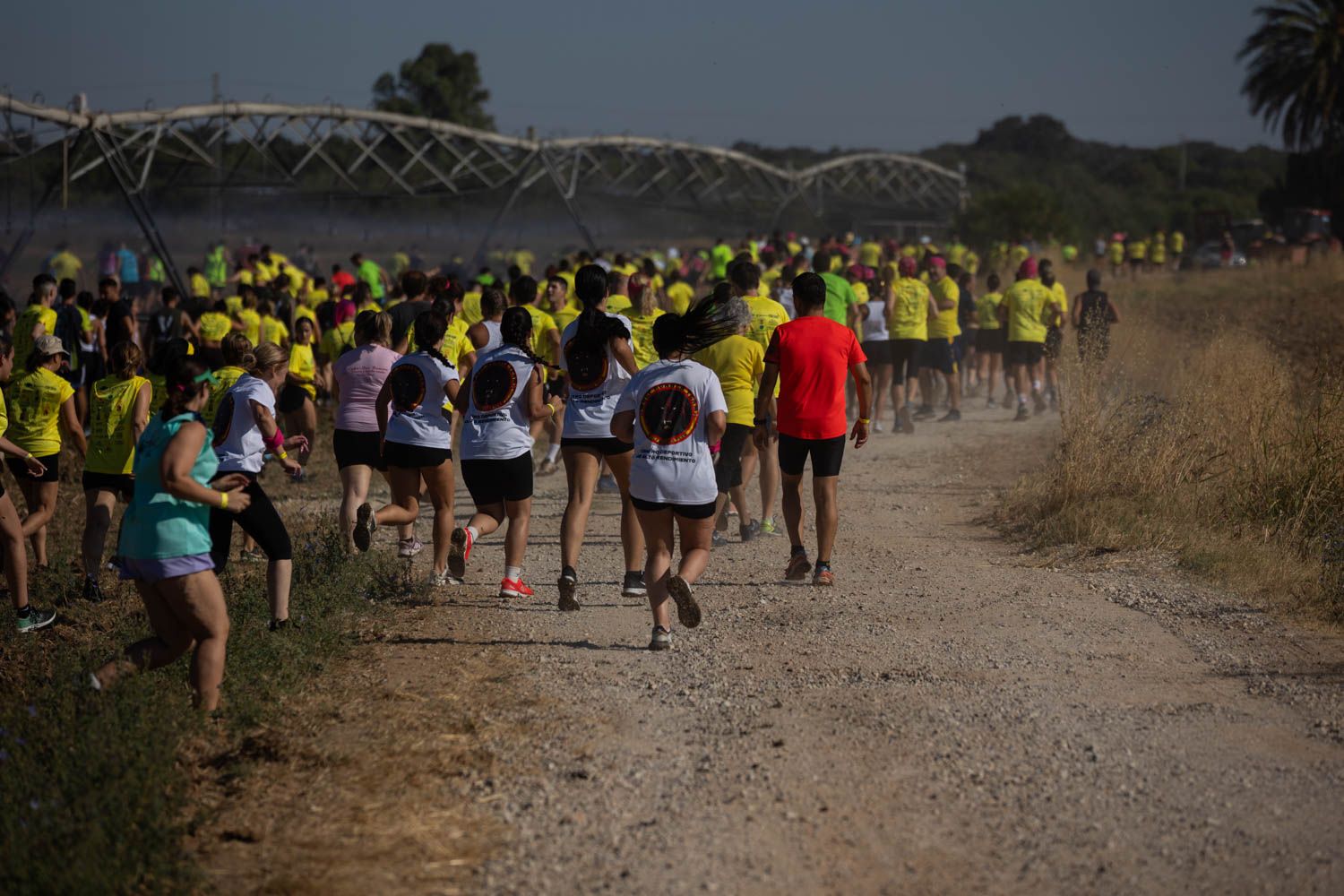 La marea amarilla avanza por los caminos rurales