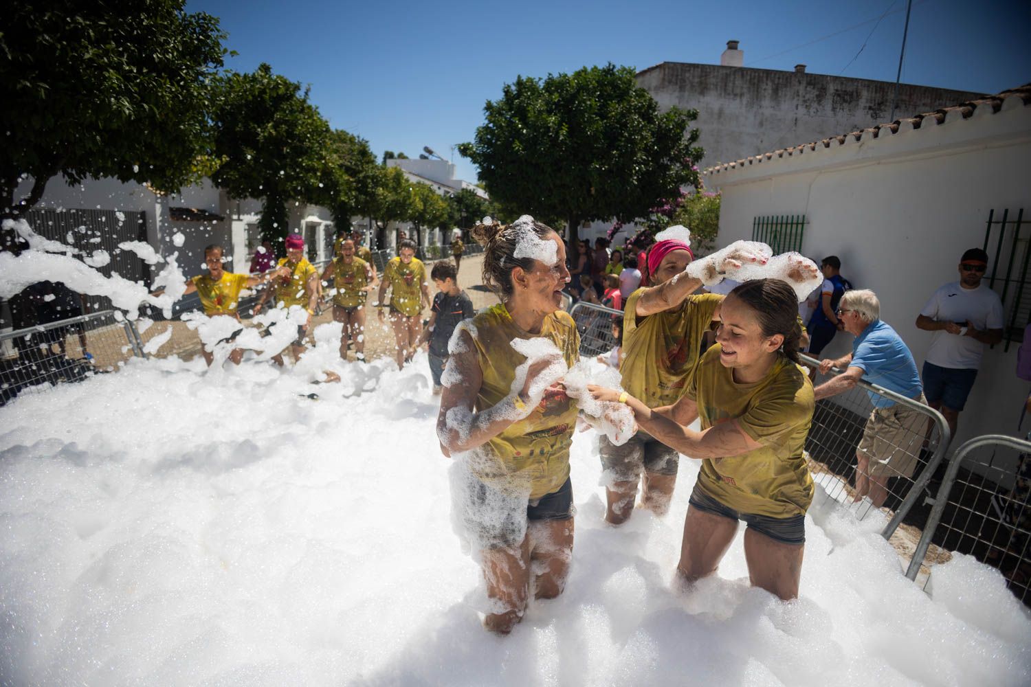 Siguen que no es poco.