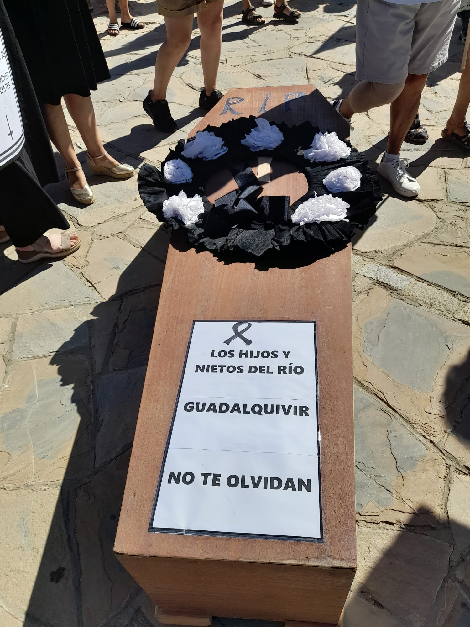 Un ataúd en la protesta.