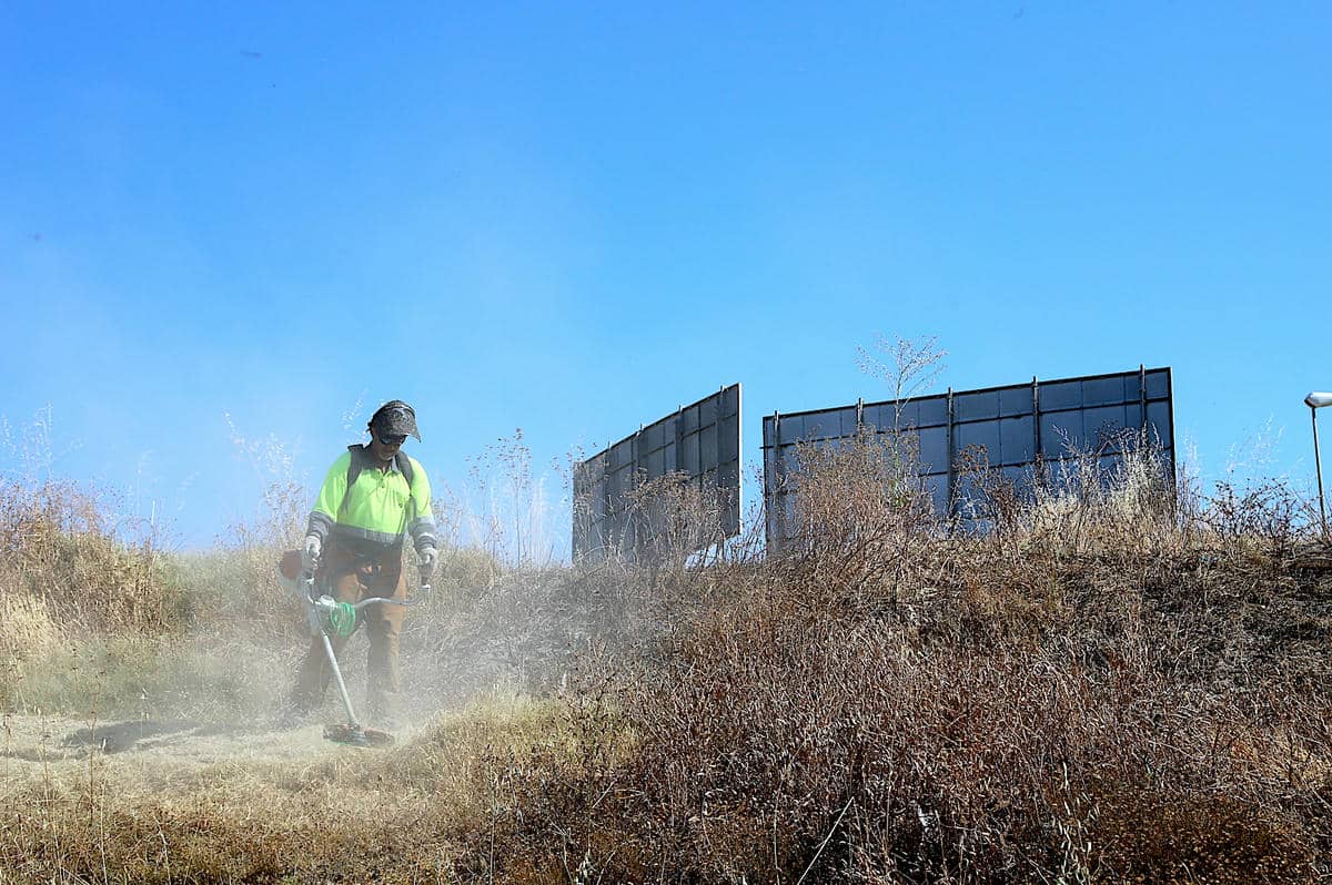 Tareas de desbroce en la zona Sur de Jerez.