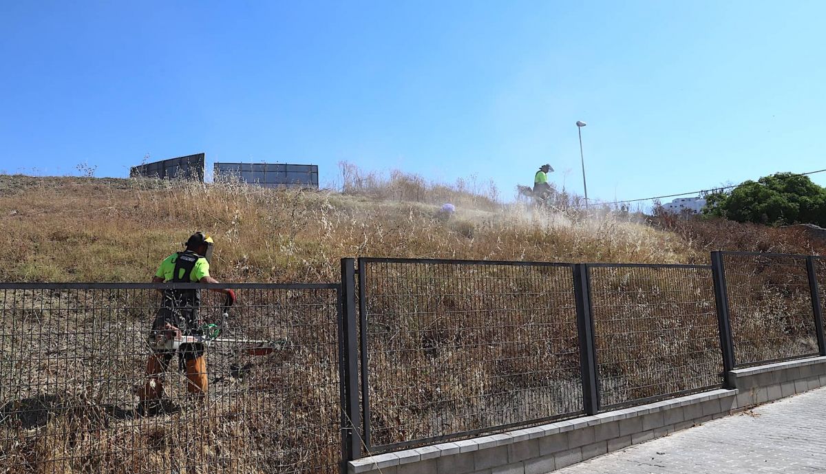 Desbrozadores en Zona Sur 1 (1)