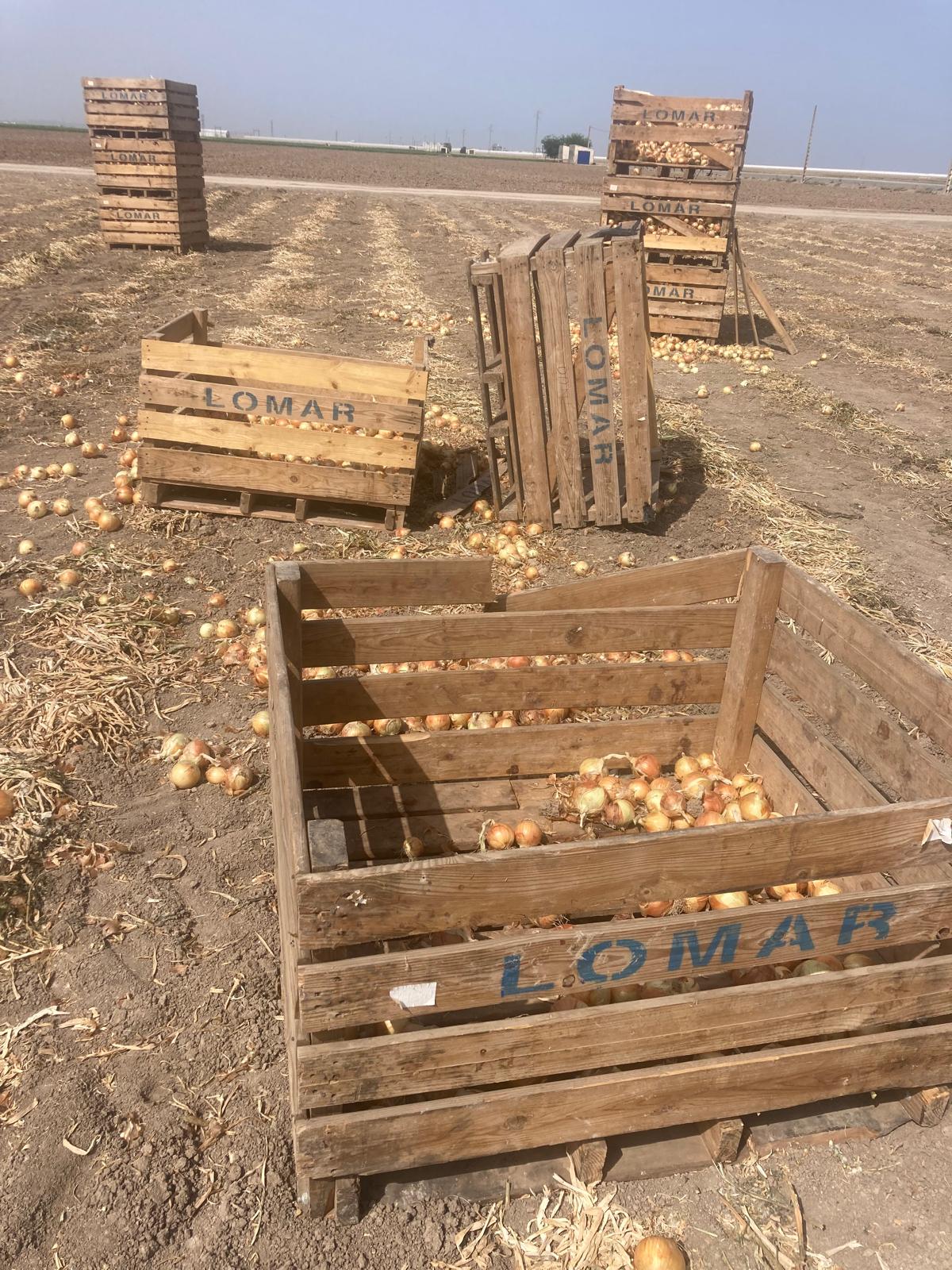 Estado en que han quedado muchos campos.