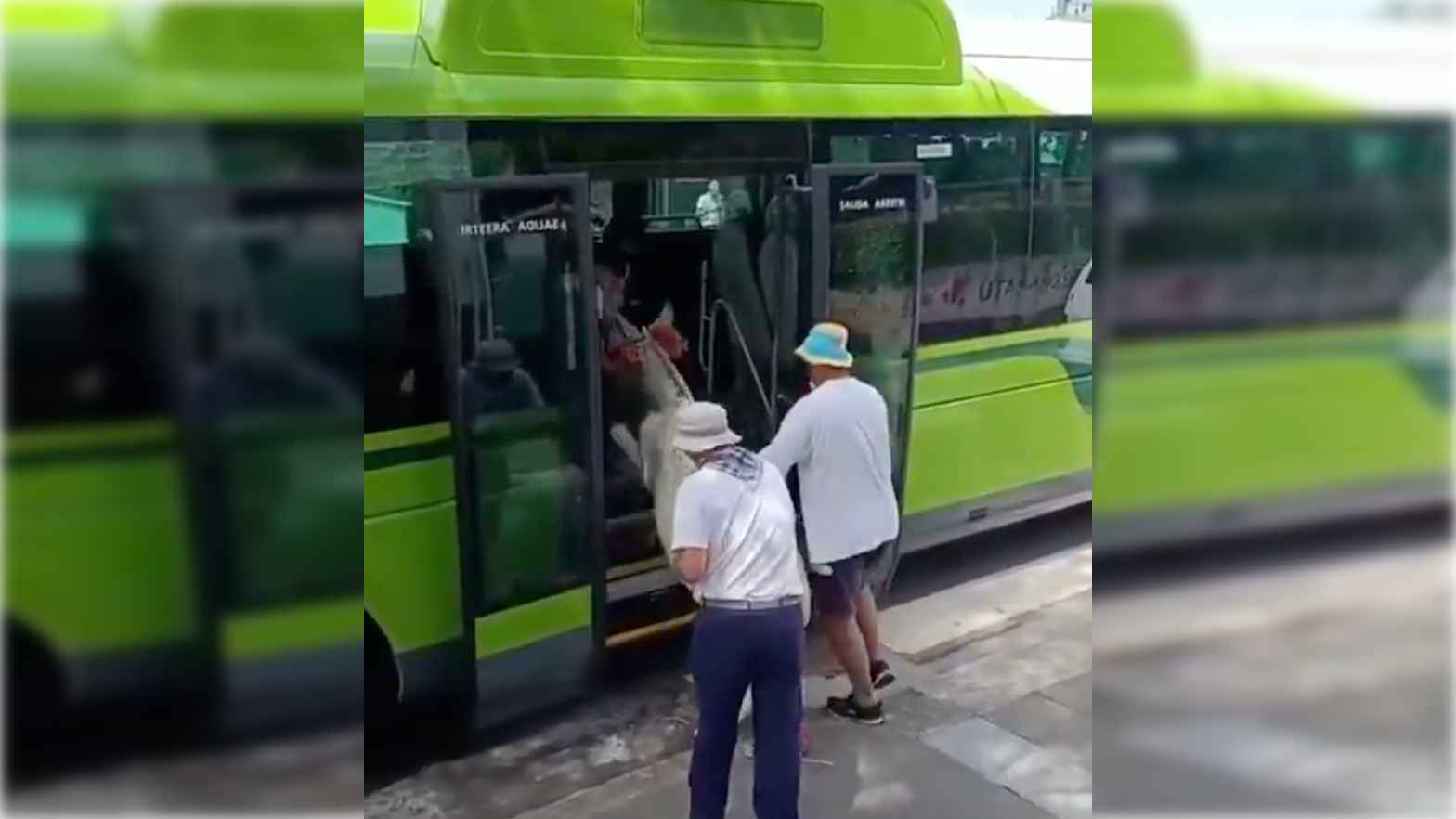 Momento en el que suben la burra al autobús.