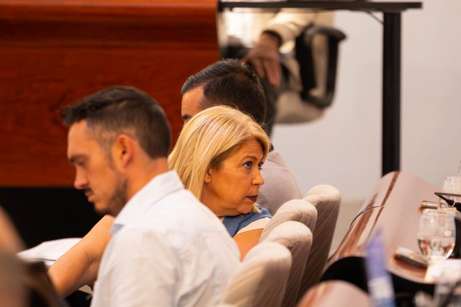 Mamen Sánchez, exalcaldesa de Jerez, en un pleno.