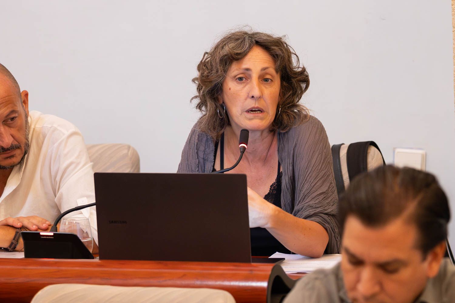 Ángeles 'Kika' González, de Ganemos, en el último pleno de Jerez.