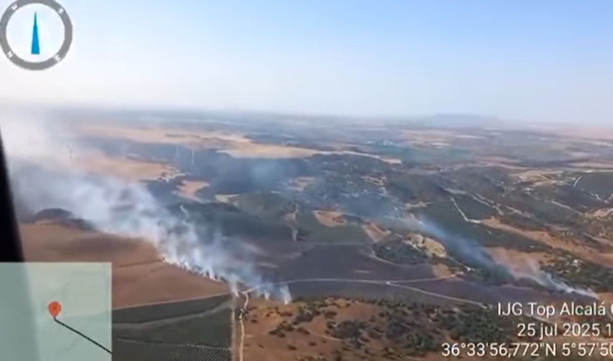 Incendio forestal declarado en Jerez este viernes 25 de julio.
