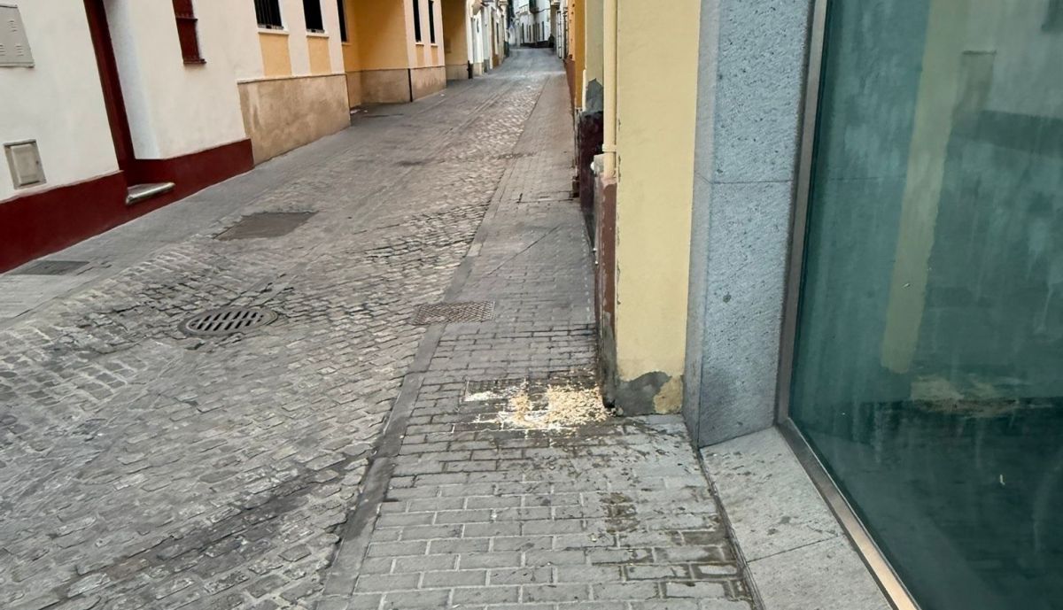 Vómito en el centro de El Puerto