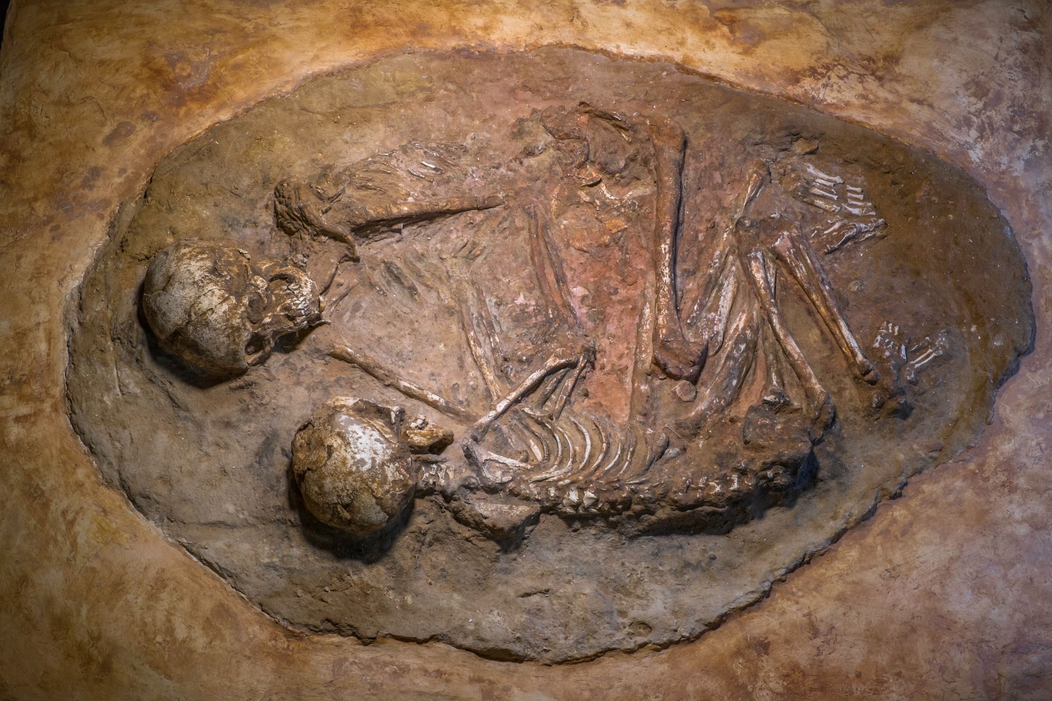 El Abrazo eterno en el Castillo de San Romualdo, San Fernando. El Abrazo eterno en el Castillo de San Romualdo, San Fernando.
