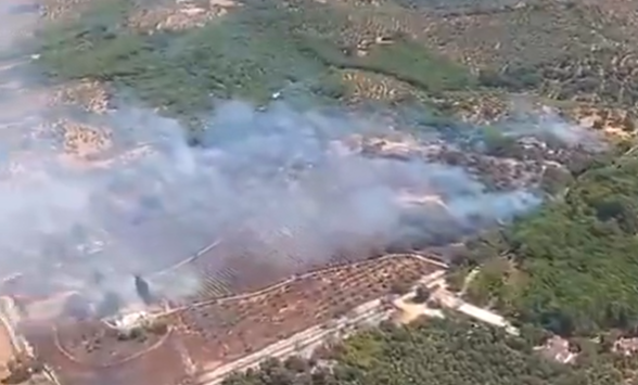 El incendio que ha sido declarado en Constantina este lunes. El incendio que ha sido declarado en Constantina este lunes.