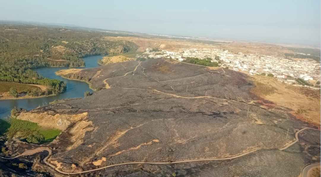Imagen de la zona afectada por el fuego en Aznalcóllar.