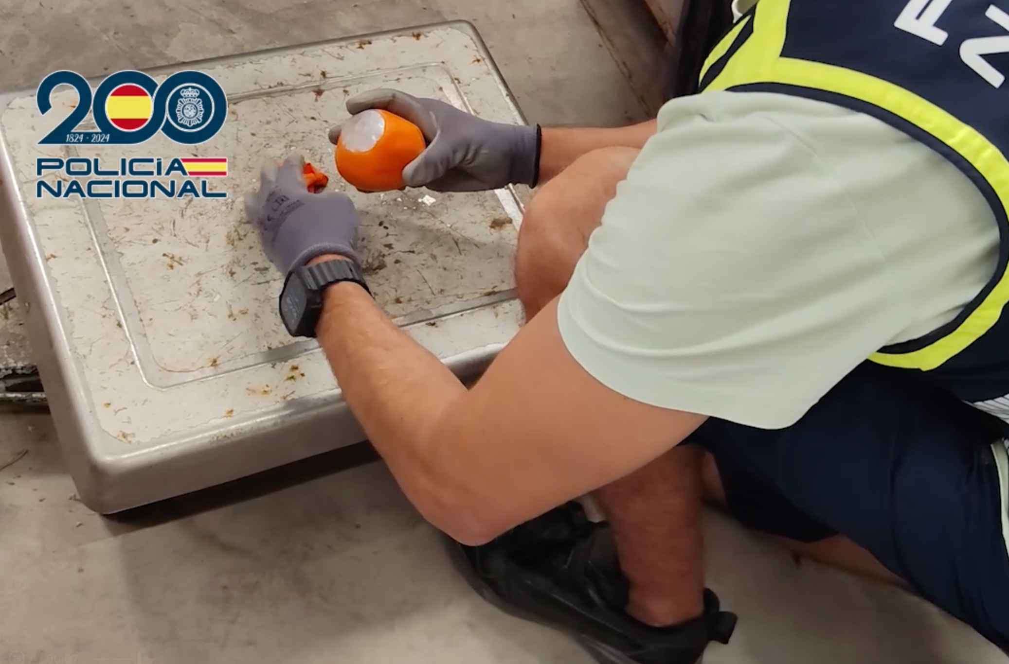 La droga, camuflada como si fuera una naranja.