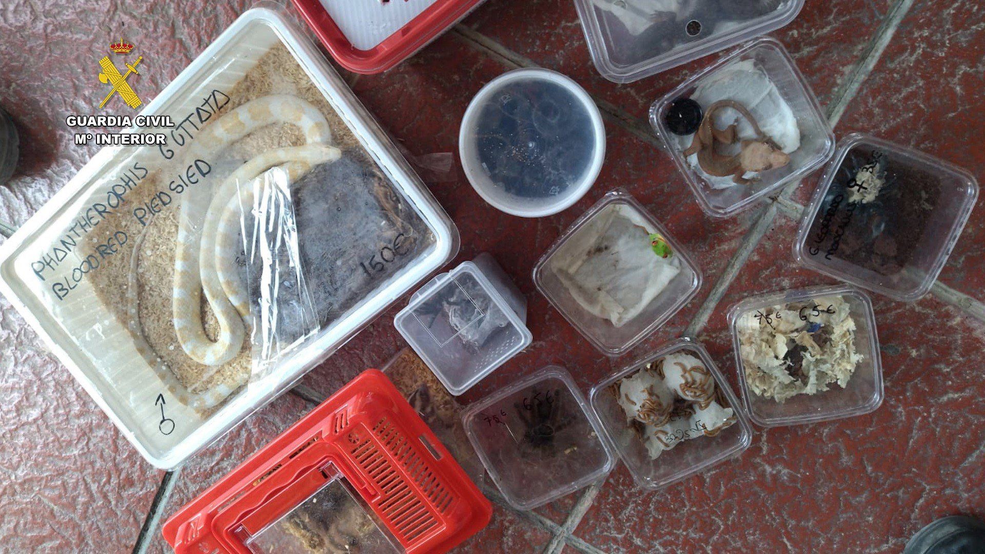 Contenido de la mochila abandonada encontrada en el puerto de Cádiz.