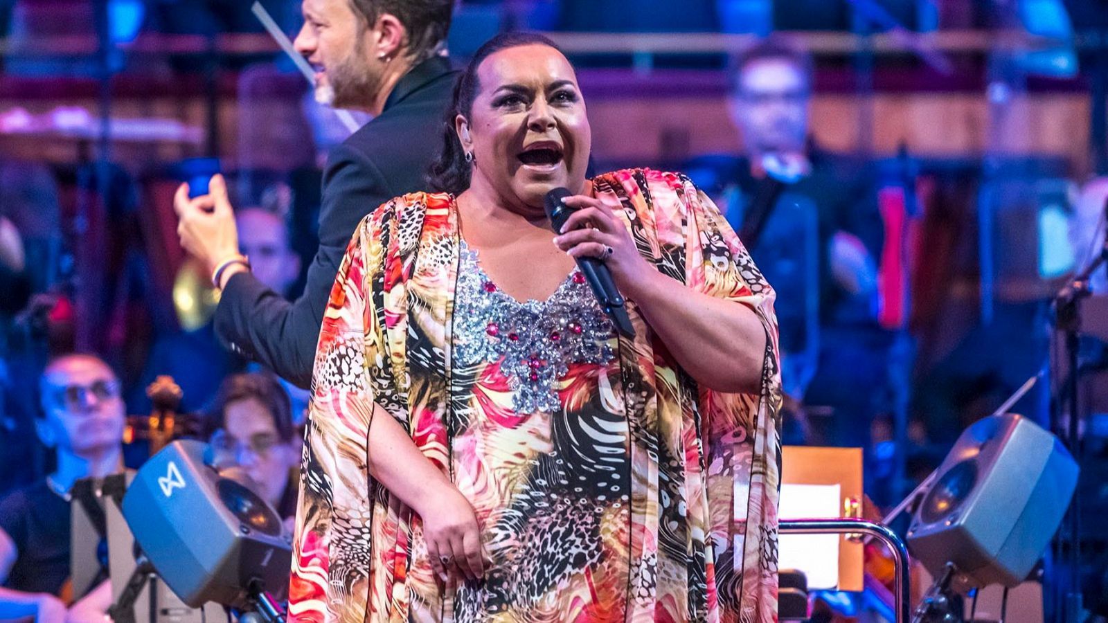 Falete en un concierto. RTVE.