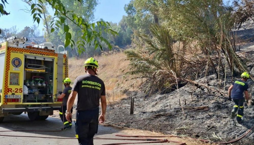 Efectivos desplegados en la zona.