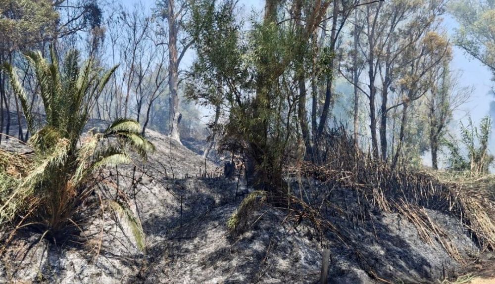 Estado en que quedó el entorno en uno de los dos fuegos.
