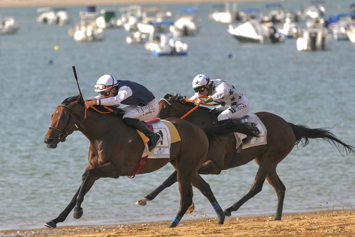 Caballos en las carreras de este martes.