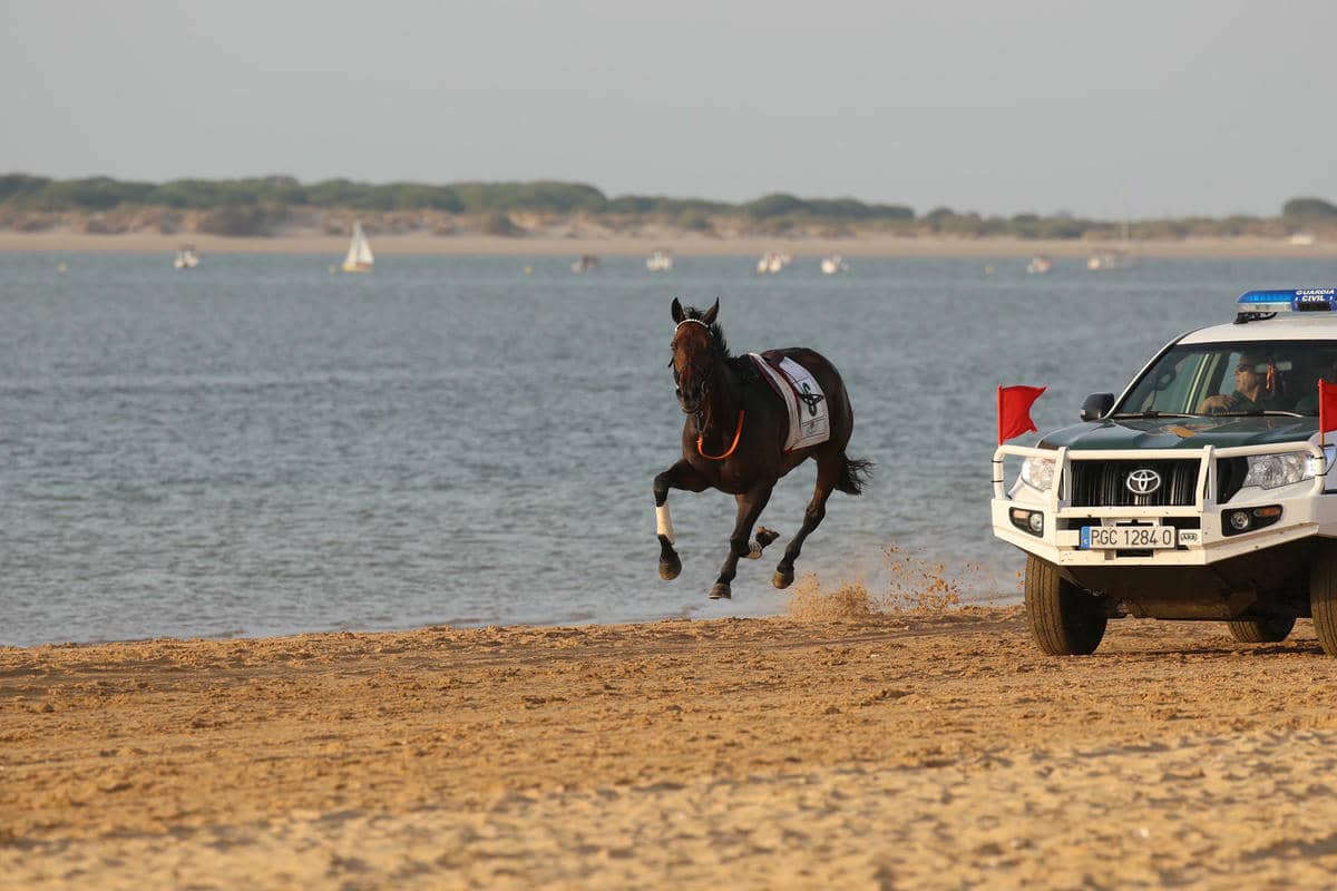 El caballo desbocado en el segundo día de carreras de Sanlúcar.