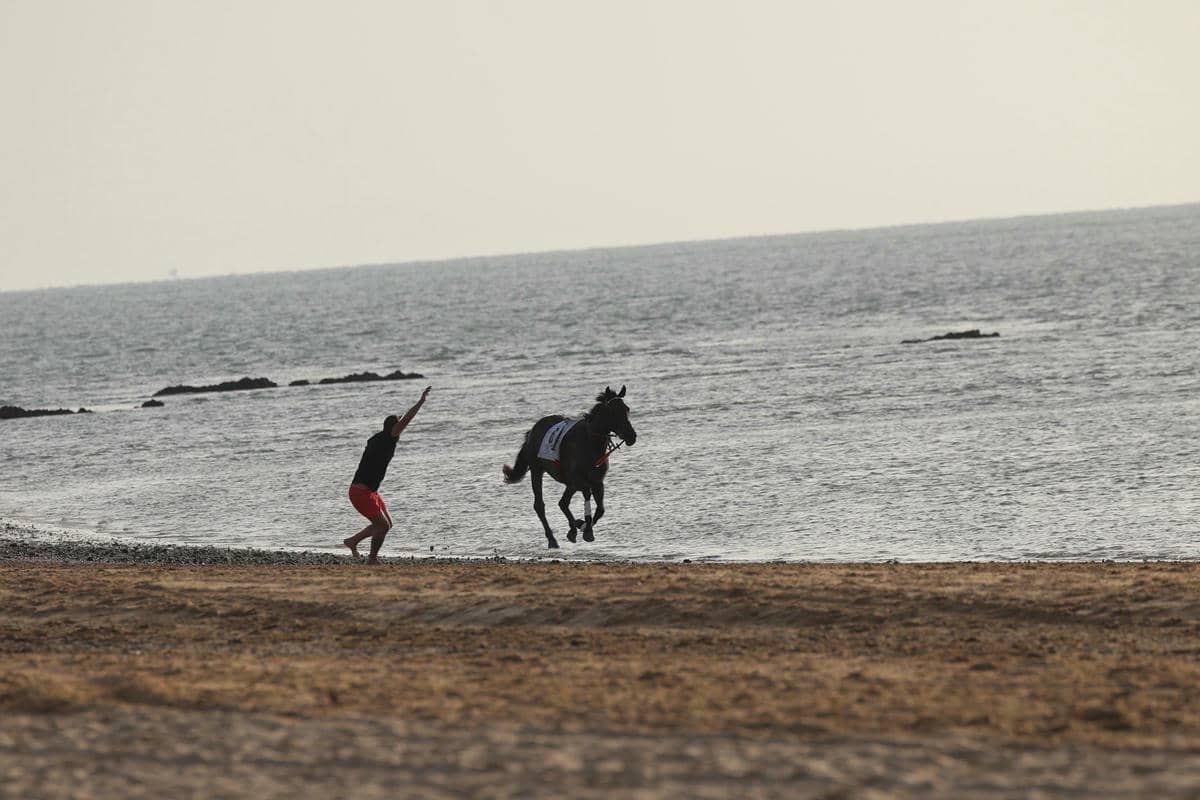Tratando de calmar al caballo.