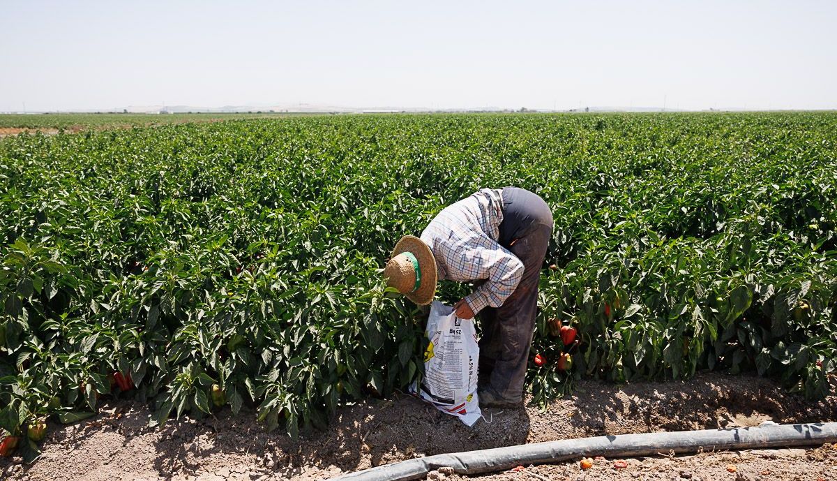 Agricultores Lebrija  03
