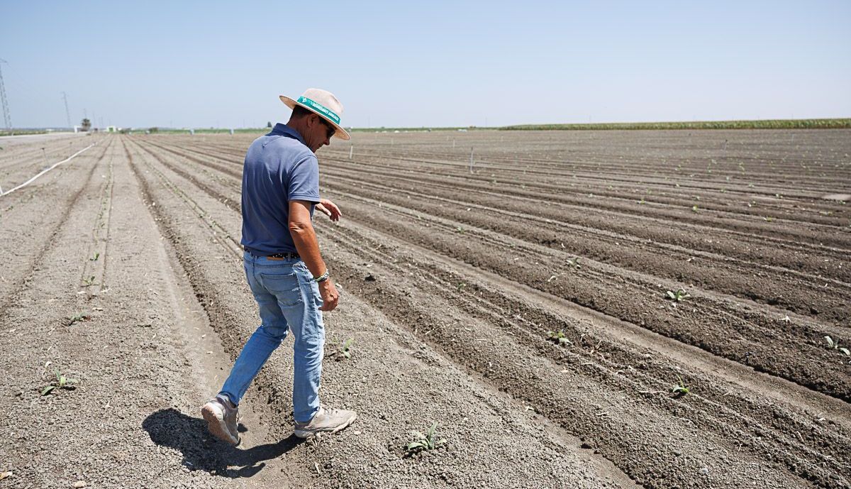 Agricultores Lebrija 20