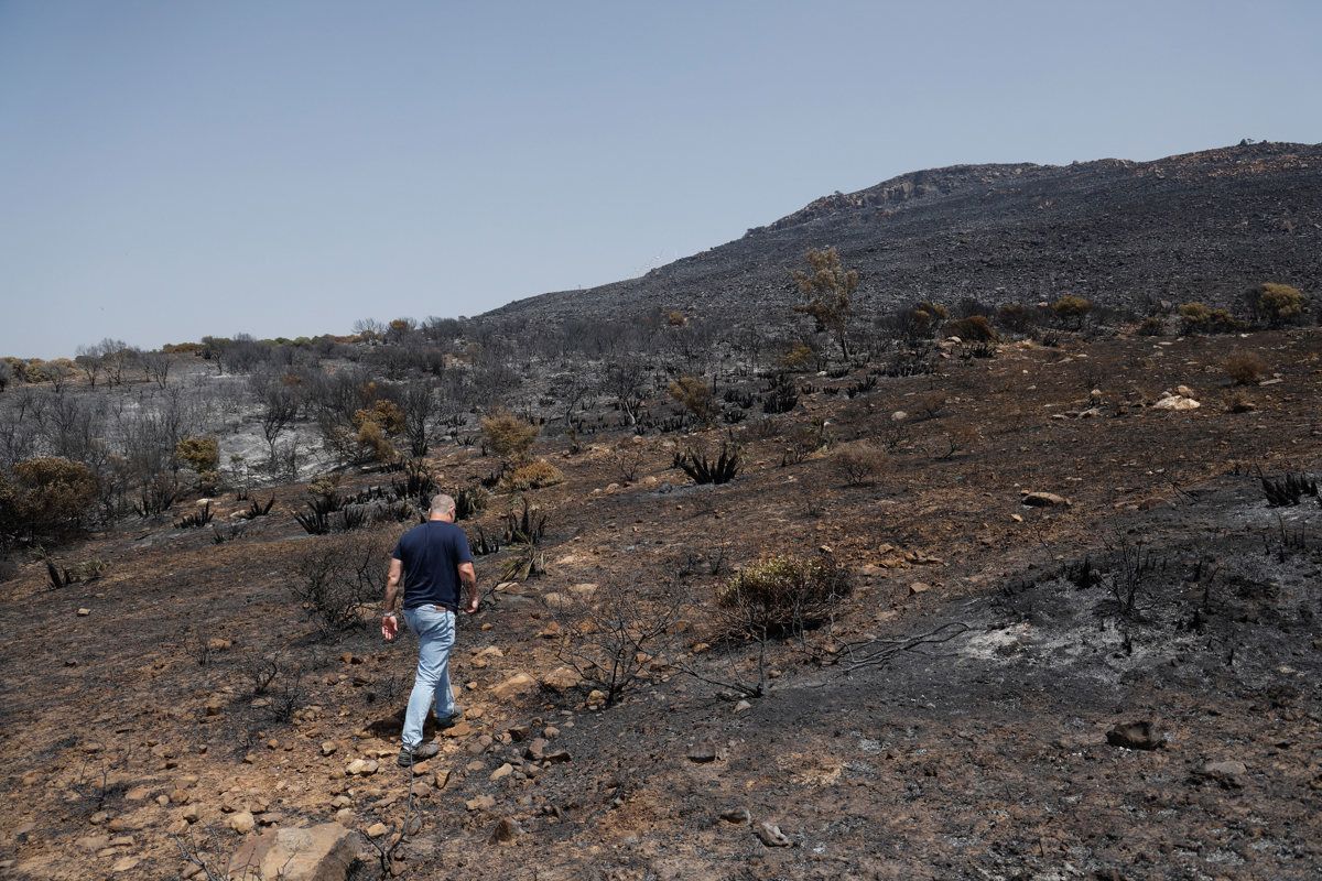 Vegetación afectada por el incendio en Tarifa.