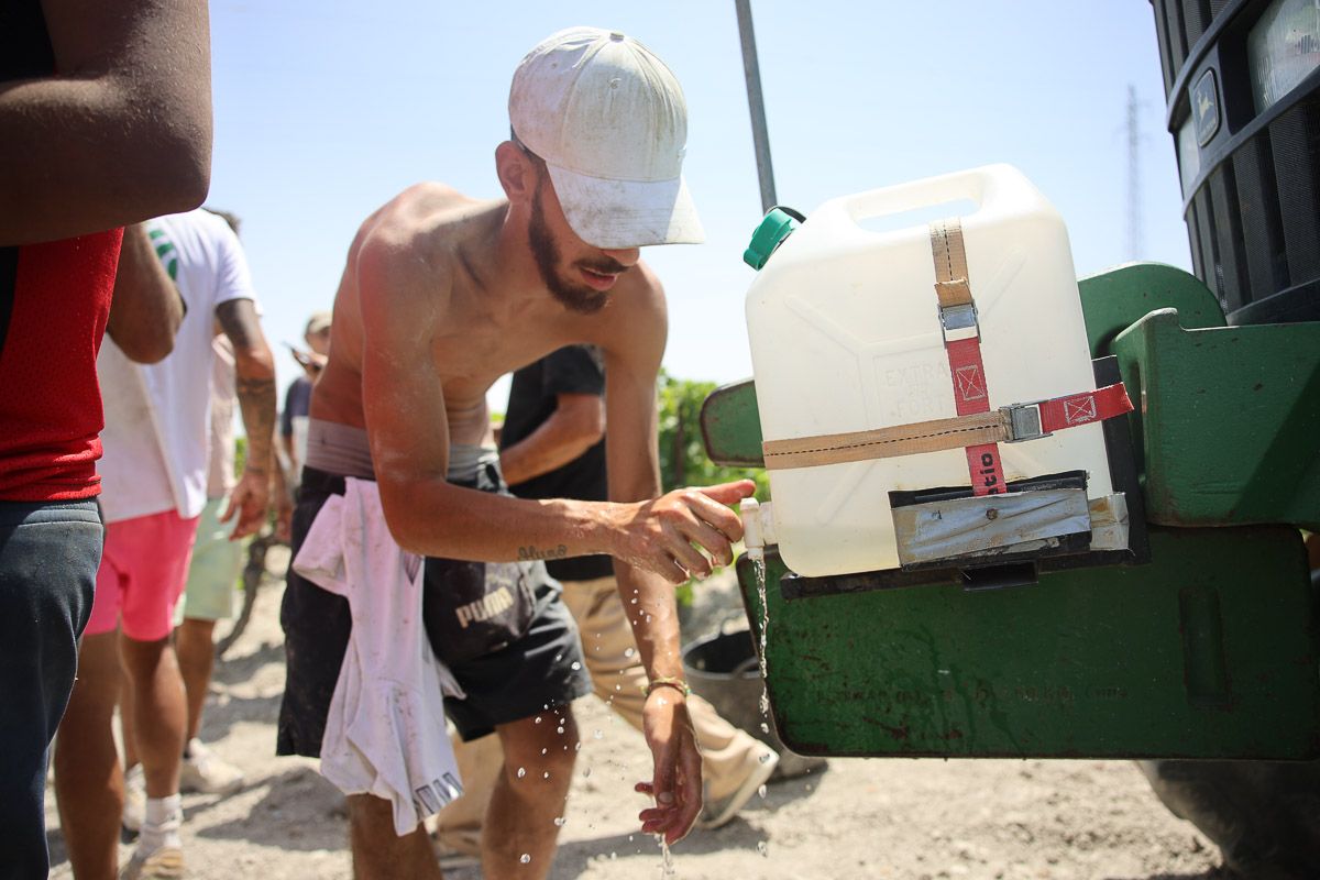 Agua para soportar las temperaturas.