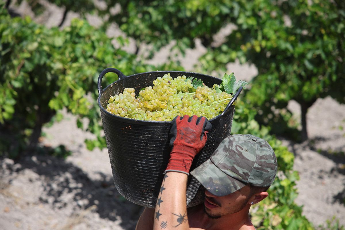 Un momento del trabajo.