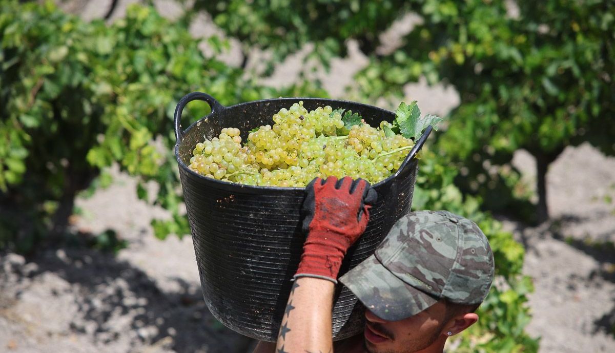 Un momento del trabajo.