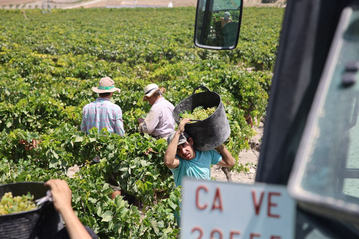 Vista general de los trabajos.