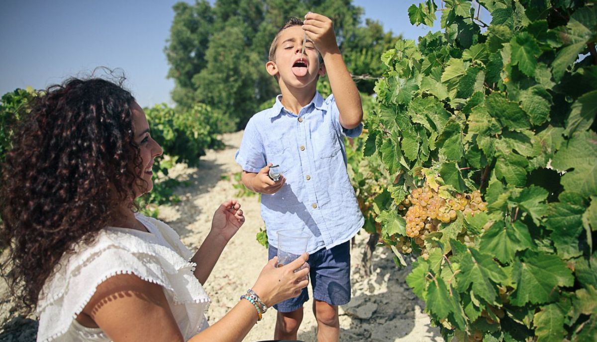 Agricutora viticultora Jerez  11