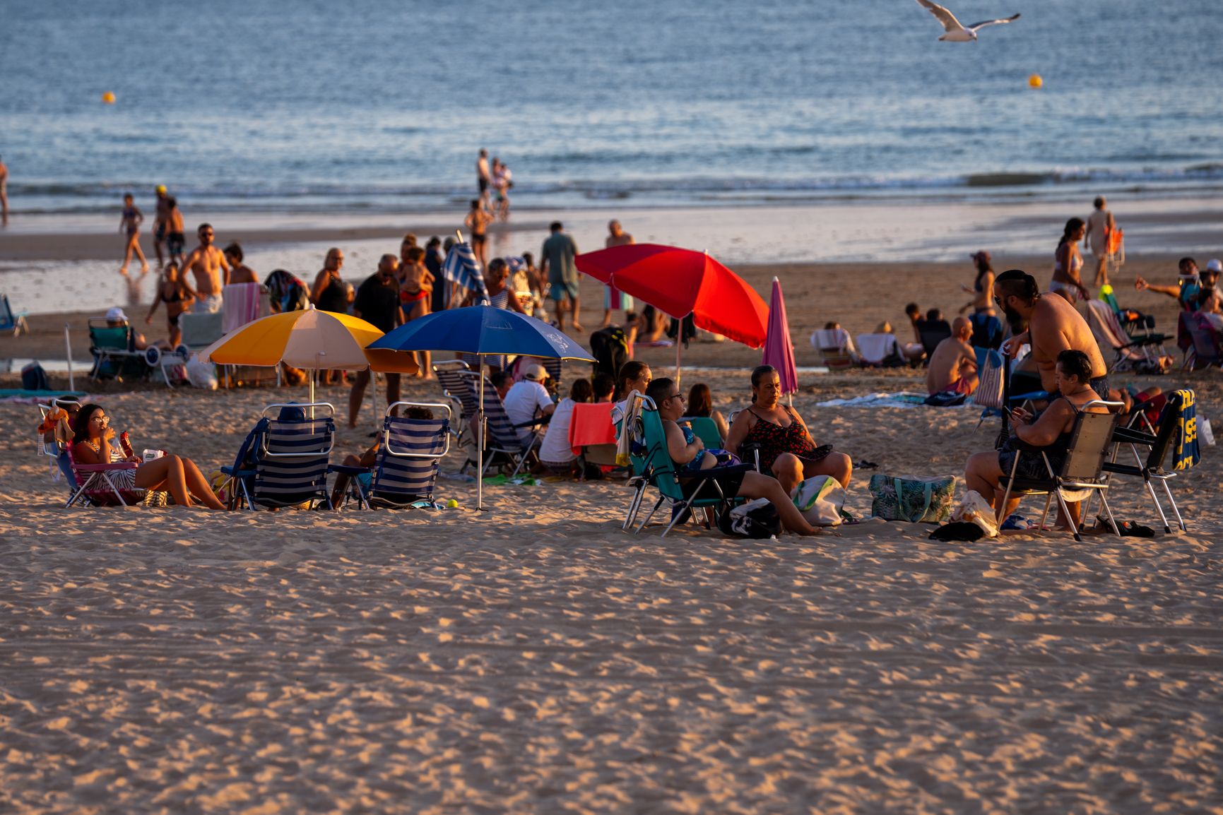 Las playas de Cádiz sin barbacoas en el Trofeo Carranza... y otras imágenes de la 'Champions gaditana'.