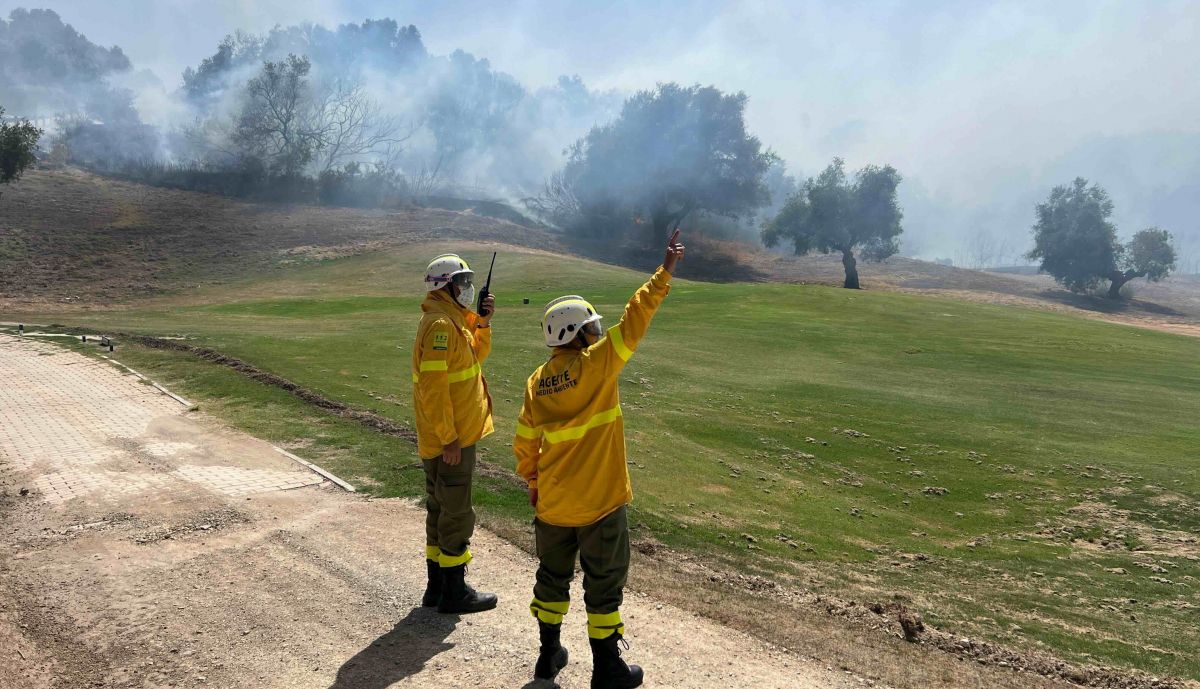 Bomberos, durante el incendio de Montecastillo, este domingo.