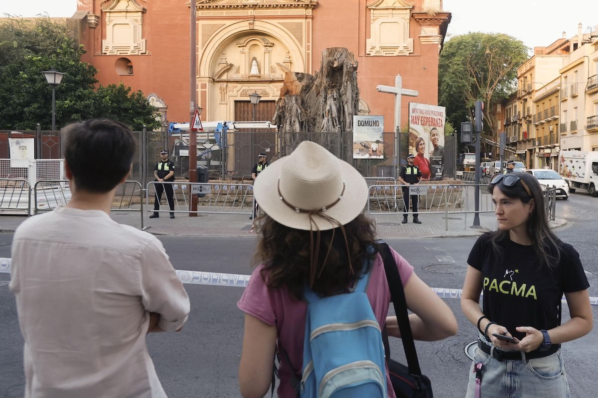Activistas medioambientales, convocados por Pacma, protestan frente al ficus de San Jacinto en Triana.
