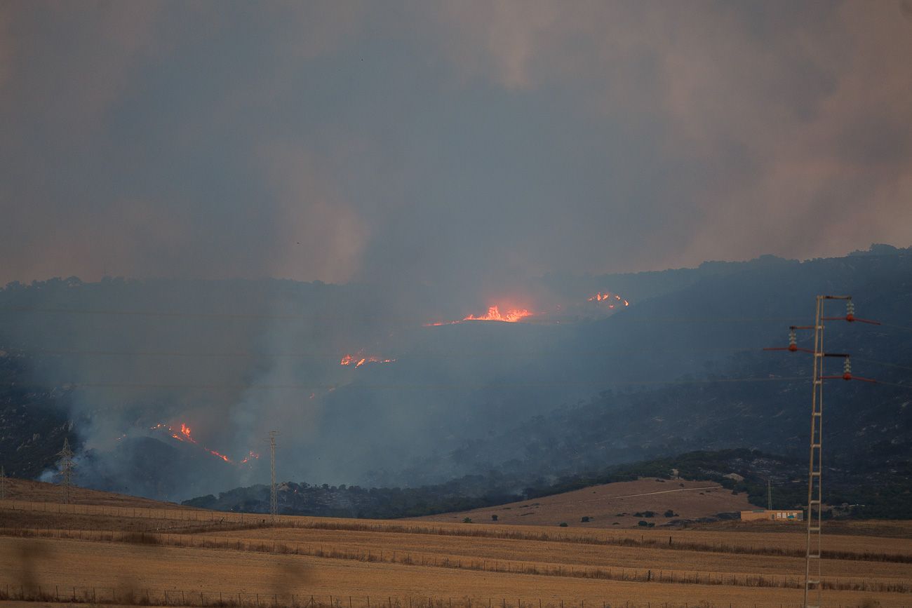 La llamas se avivan por el fuerte viento de Levante 