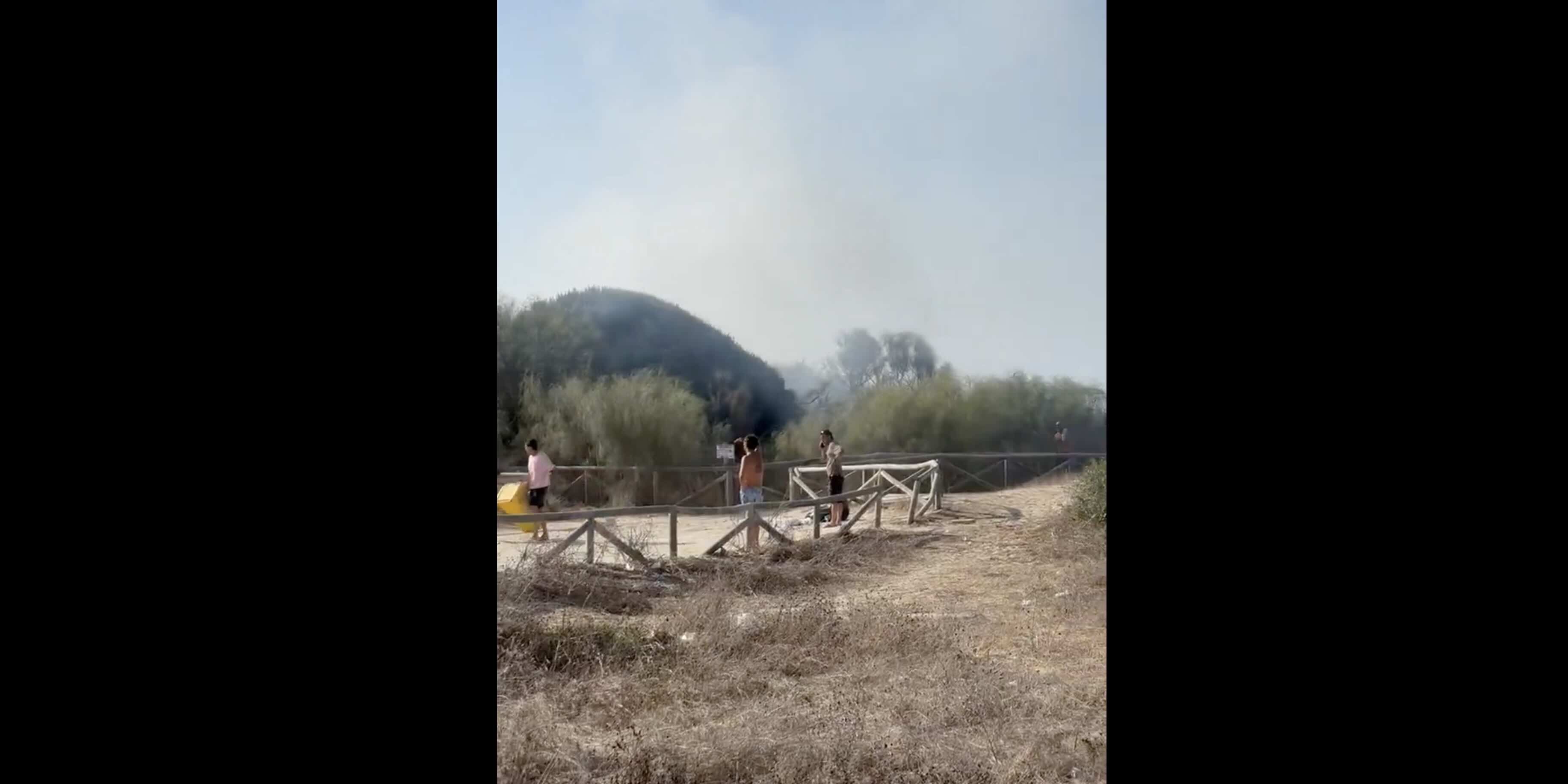 Conato de incendio forestal en los Caños de Meca. Conato de incendio forestal en los Caños de Meca.