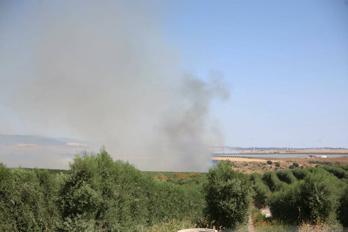 El fuego en el entorno de La Suara.